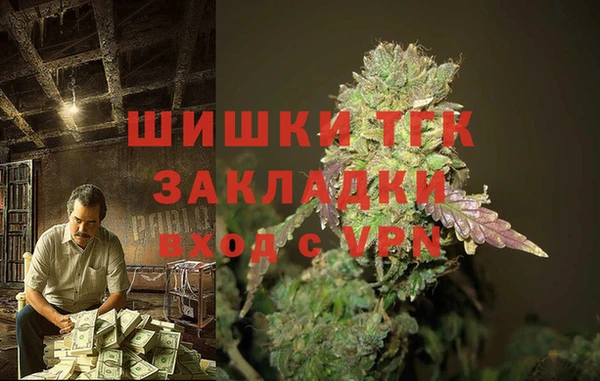 ПСИЛОЦИБИНОВЫЕ ГРИБЫ Гусь-Хрустальный