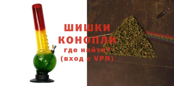 ПСИЛОЦИБИНОВЫЕ ГРИБЫ Гусь-Хрустальный