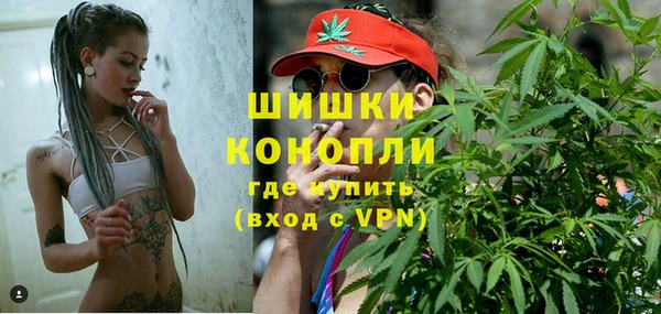 ПСИЛОЦИБИНОВЫЕ ГРИБЫ Гусь-Хрустальный