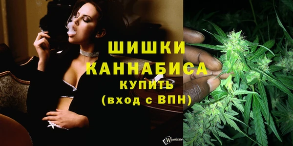 ПСИЛОЦИБИНОВЫЕ ГРИБЫ Гусь-Хрустальный