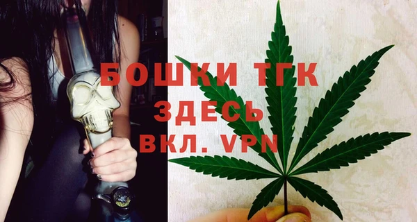 ПСИЛОЦИБИНОВЫЕ ГРИБЫ Гусь-Хрустальный
