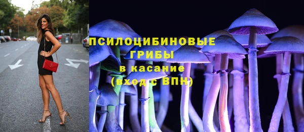 ПСИЛОЦИБИНОВЫЕ ГРИБЫ Гусь-Хрустальный