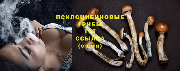 бутират Фурманов