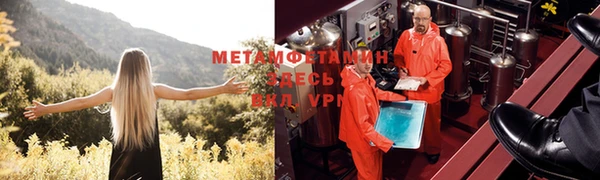 ПСИЛОЦИБИНОВЫЕ ГРИБЫ Гусь-Хрустальный
