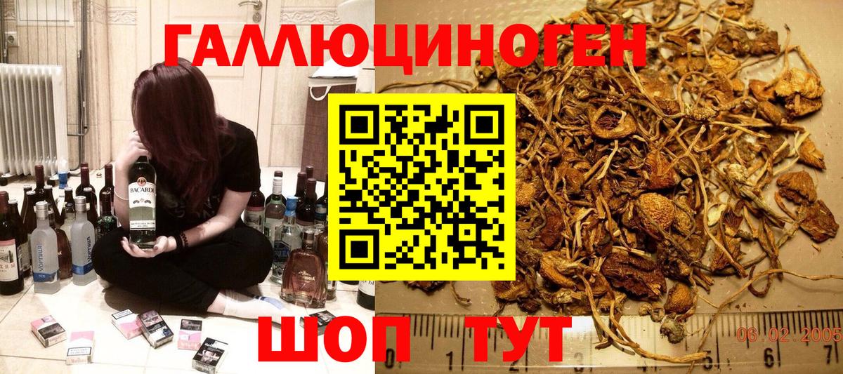 Галлюциногенные грибы Magic Shrooms Обь