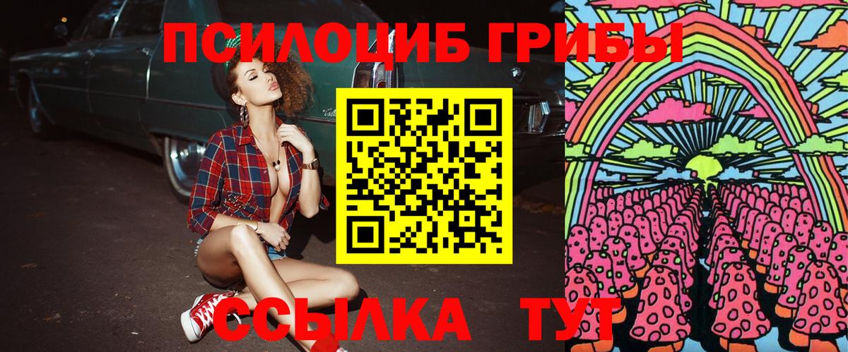 Галлюциногенные грибы Cubensis  Псилоцибиновые грибы Psilocybine cubensis  Обь  Вход с VPN 